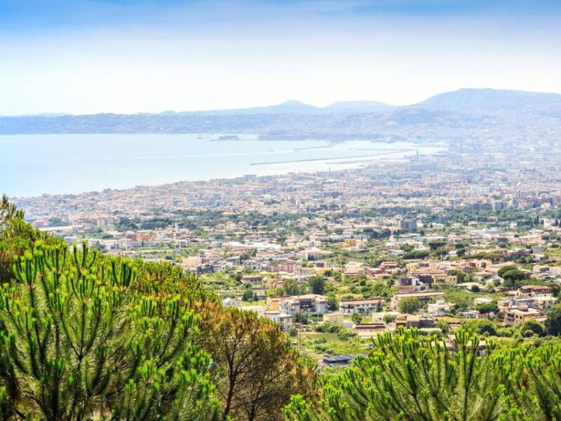 pompeii-mount-vesuvius-park-entry-ticket-and-transfer