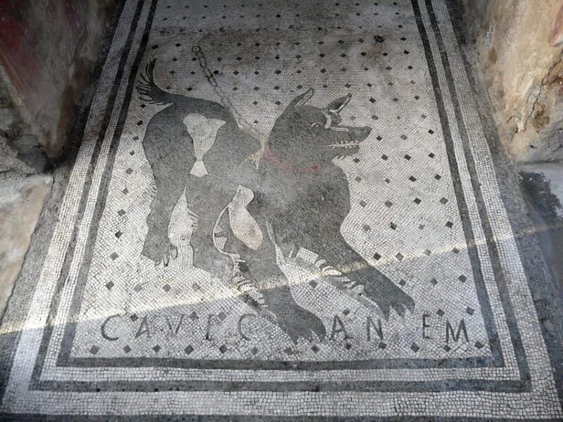 pompeii-skip-the-line-entry-audioguide