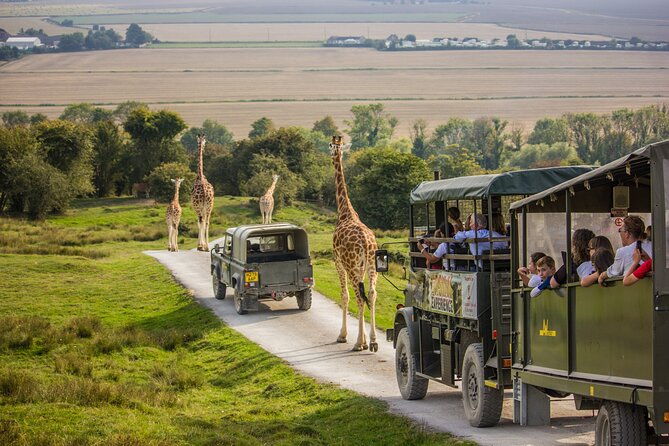 port-lympne-day-ticket