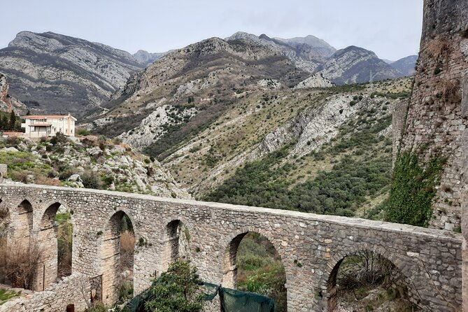 port-of-bar-old-town-bar-and-oldest-european-olive-tree-visit