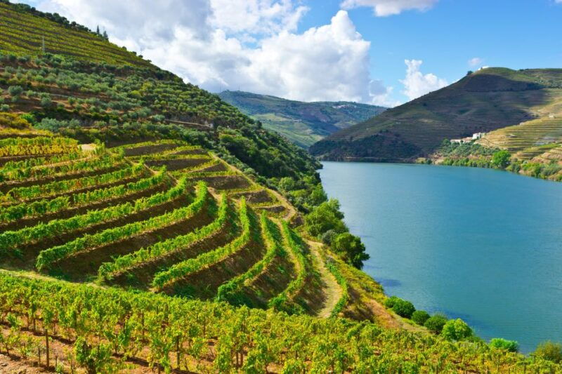 porto-douro-valley-history-wine-tour-with-cruise-lunch