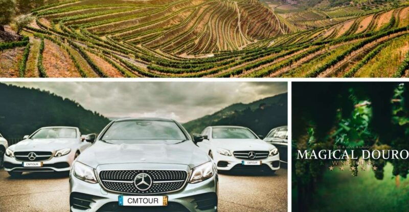 porto-private-douro-valley-day-with-lunch