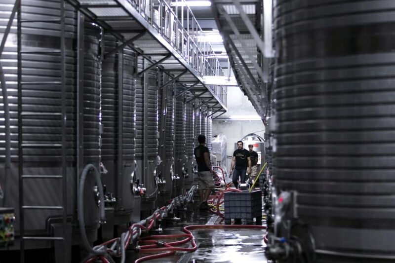 porto-private-green-wine-tour-visit-2-wine-estates-lunch