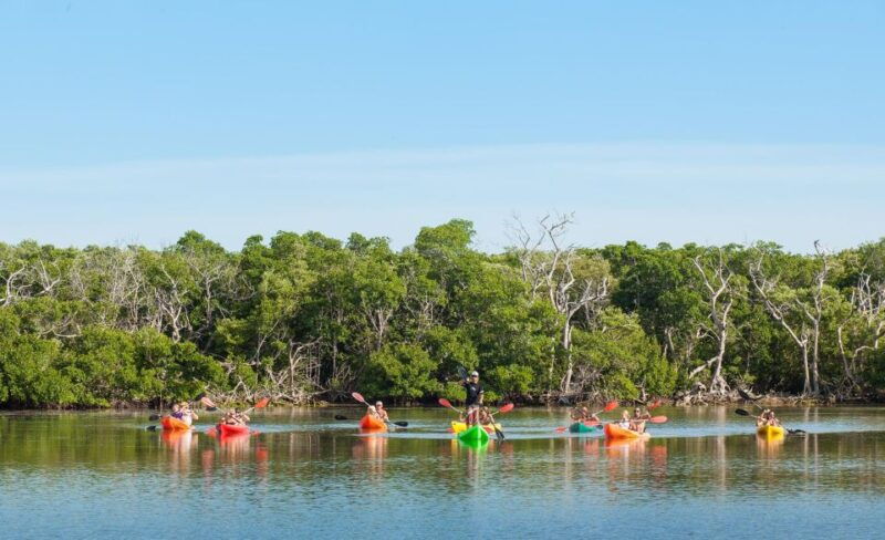 premium-day-sail-snorkel-kayak-with-lunch