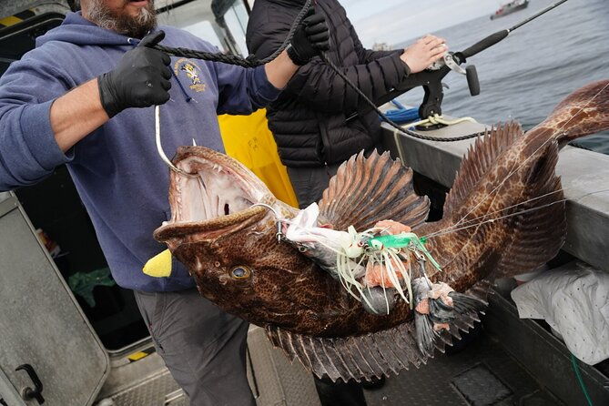 premium-salmon-fishing-6-hours-for-cruise-ship-guests