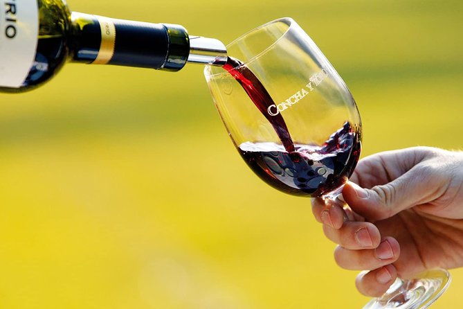 premium-wine-tasting-in-santiago-de-chile
