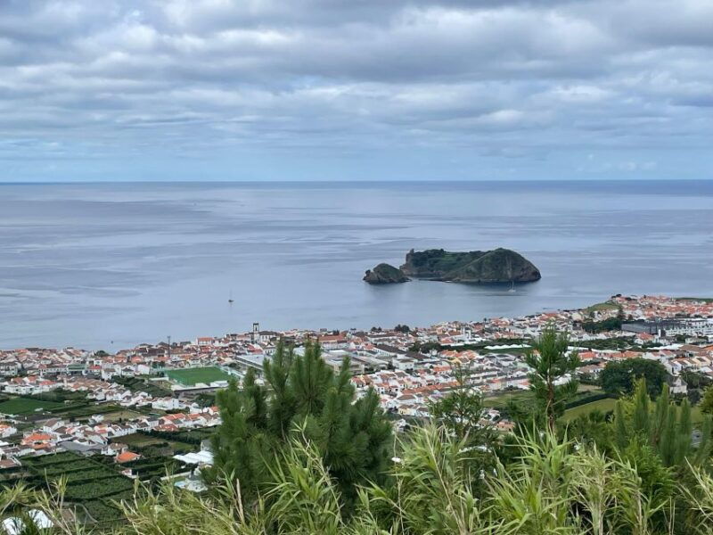 privat-van-tour-furnas-valley-gorreana-tea-islands-gems