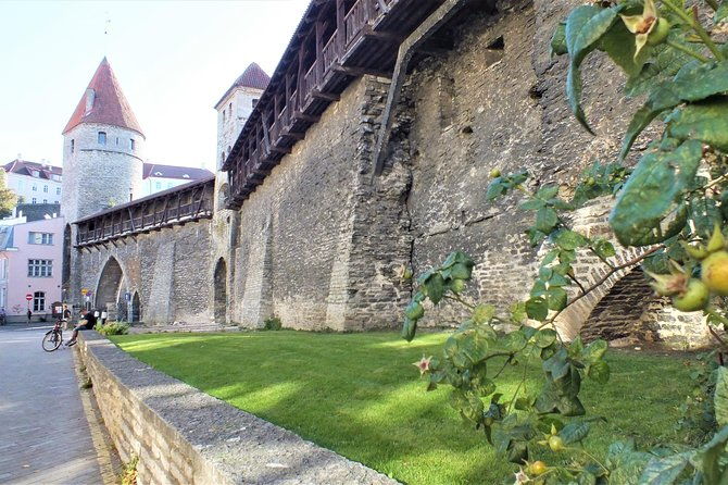private-2-5-hour-tour-of-tallinn-old-town-in-a-spacious-mercedes-minivan