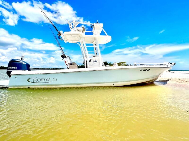private-2-hour-dolphin-eco-tour-marco-island-fl-2