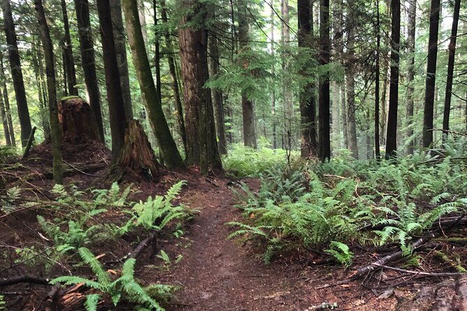 private-adventure-mountain-biking-in-seattles-eastside