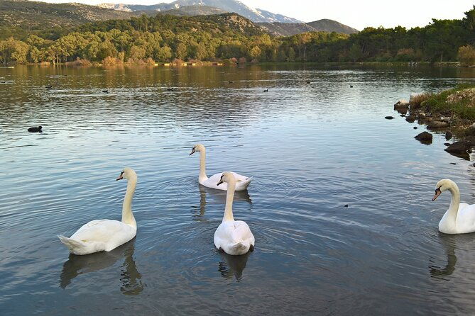 private-argostoli-walking-experience