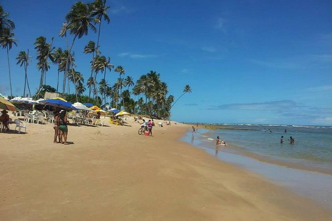 private-beach-buggy-tour-praia-do-forte-by-emytour