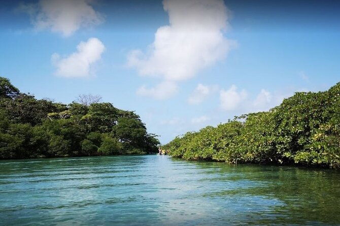 private-blue-veins-and-white-beach-tour