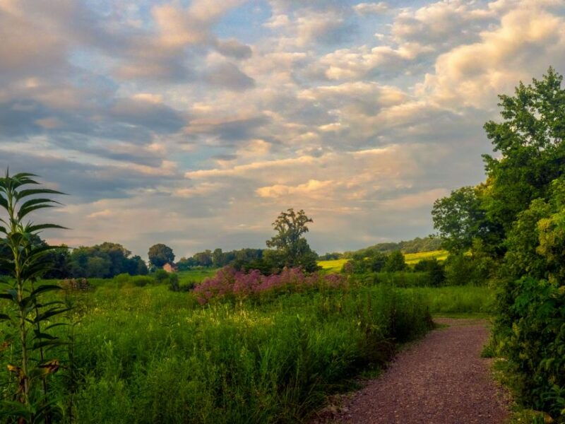 private-brandywine-and-longwood-gardens-driving-tour