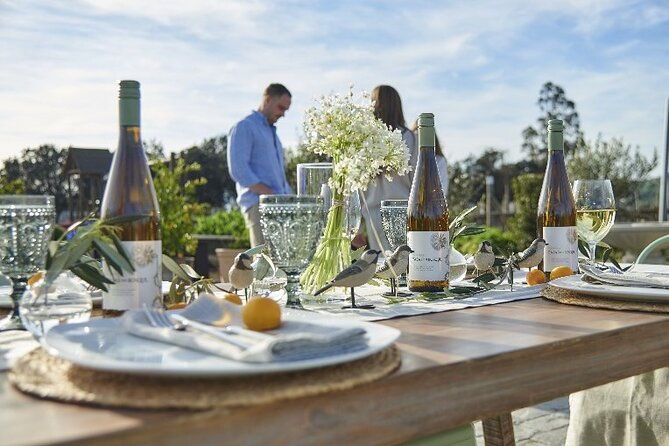 private-casablanca-valley-de-luxe-wine-tour