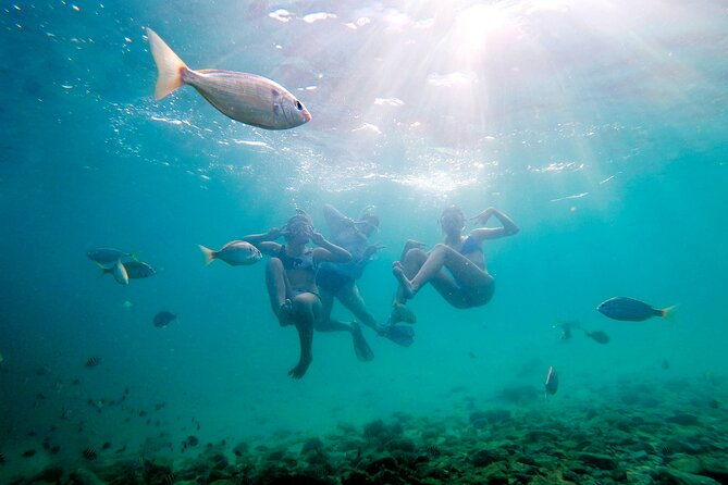 private-catamaran-snorkel-swim-and-dolphin-watching