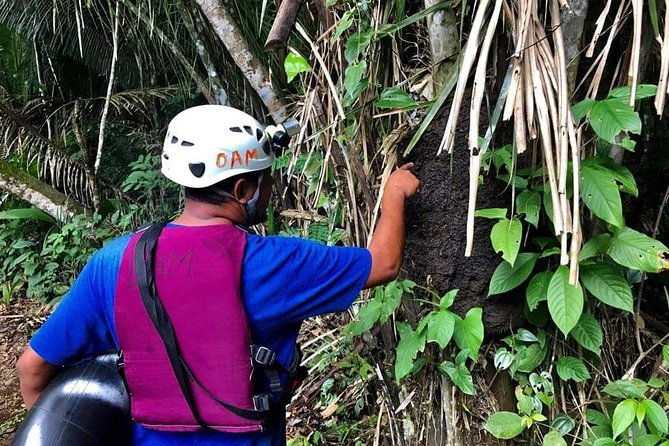 private-cave-tubing-and-zip-line-adventure-shore-excursion-tour-belize