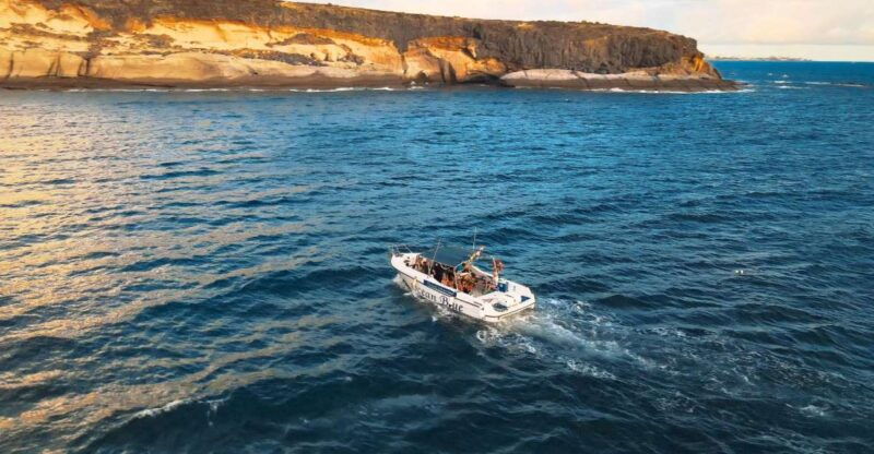 private-charter-private-charter-to-see-the-whales-2-hours