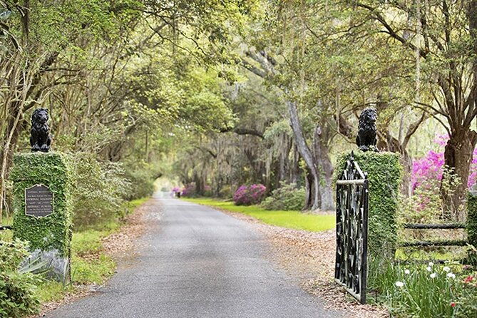private-chauffeur-admission-to-middleton-magnolia-plantation-box-lunch