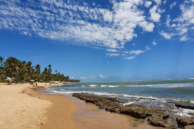 private-coconut-coast-praia-do-forte-tour-from-salvador