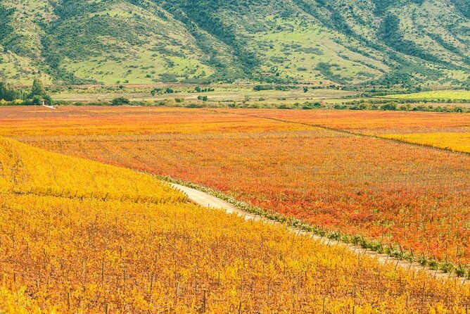 private-colchagua-valley-wine-tour-all-inclusive-from-santiago