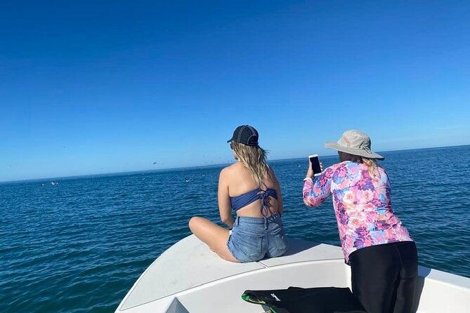 private-day-boating-charter-out-of-sarasota-floridsa