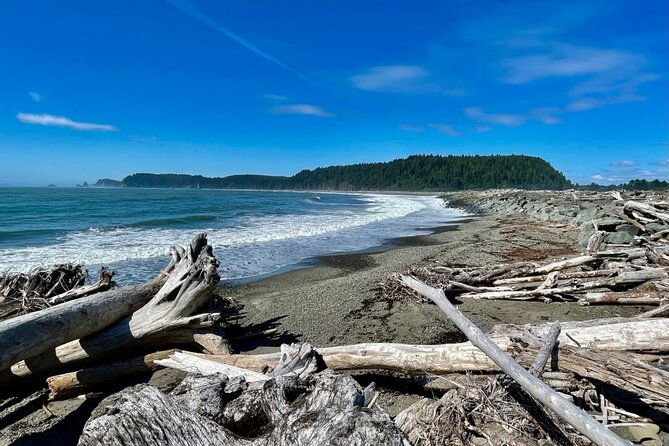 private-day-hike-in-the-ozette-triangle