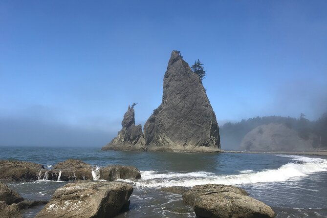 private-day-hike-rialto-beach-tide-pooling