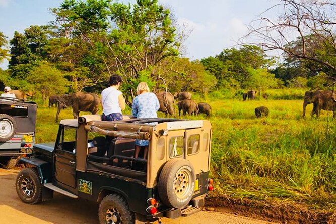 private-day-trip-to-sigiriya-dambulla-and-safari-from-trincomalee