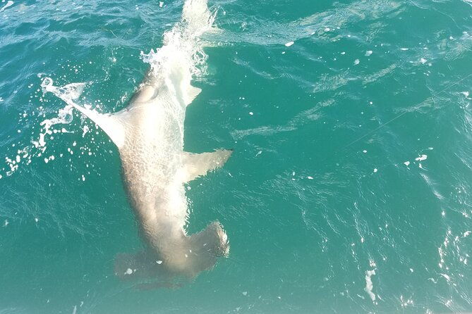 private-fishing-charter-florida-keys