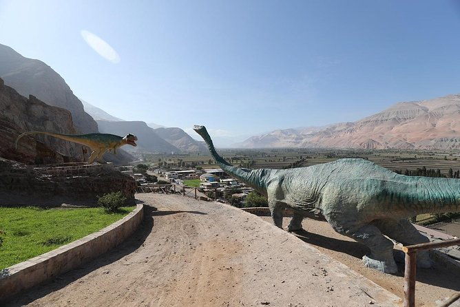 private-full-day-majes-toro-muerto-and-dinosaur-footprints-from-arequipa