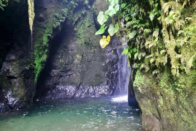 private-full-day-tour-from-quito-to-mindo