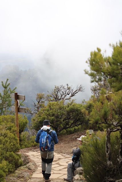 private-gastro-hike-with-levada-walk-and-local-food