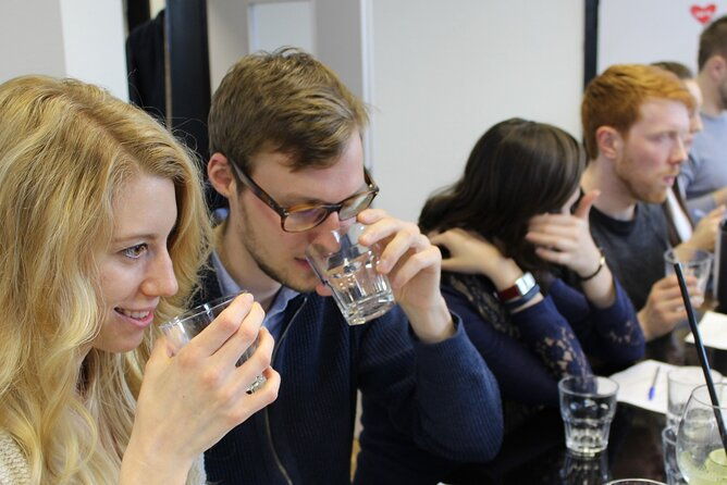 private-gin-tasting-with-a-professional-bartender-in-trier