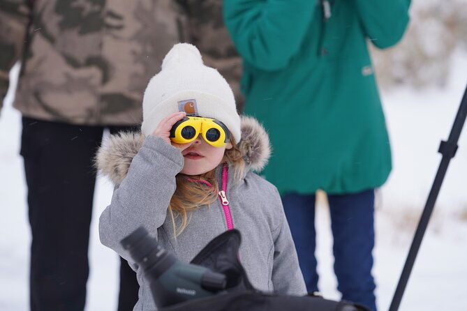 private-grand-teton-winter-wildlife-safari-with-picnic-lunch