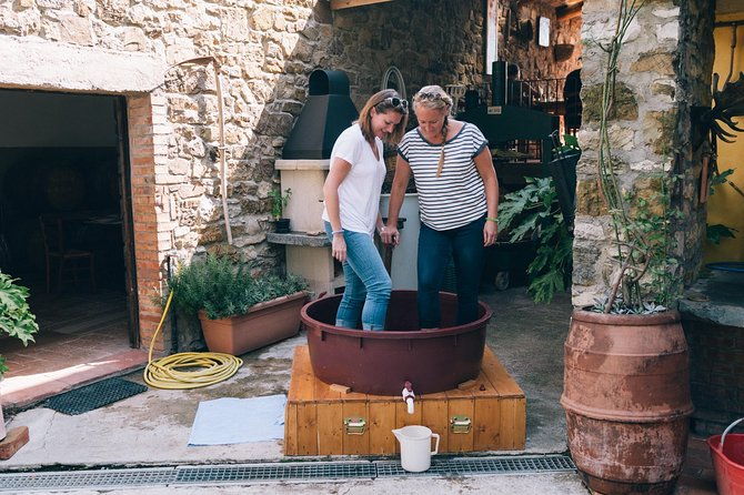 private-grape-stomping-in-chianti-from-siena