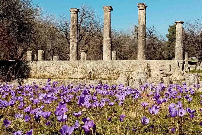 private-guided-tour-of-the-archaeological-site-and-museum-of-olympia