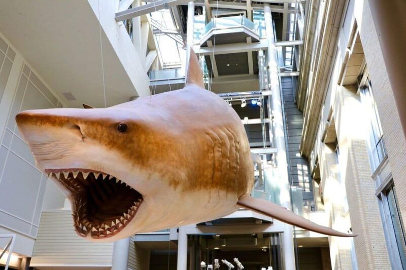 private-guided-tour-of-the-natural-history-museum