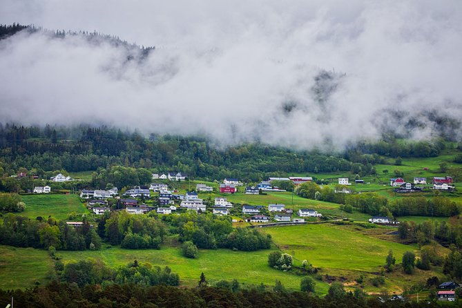 private-guided-tour-the-heart-of-norway-viking-special-8-9-hours-summer