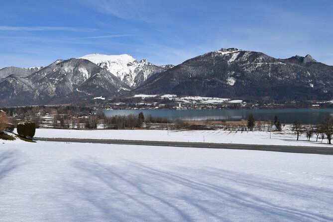 private-hallstatt-tour-with-tour-end-in-vienna