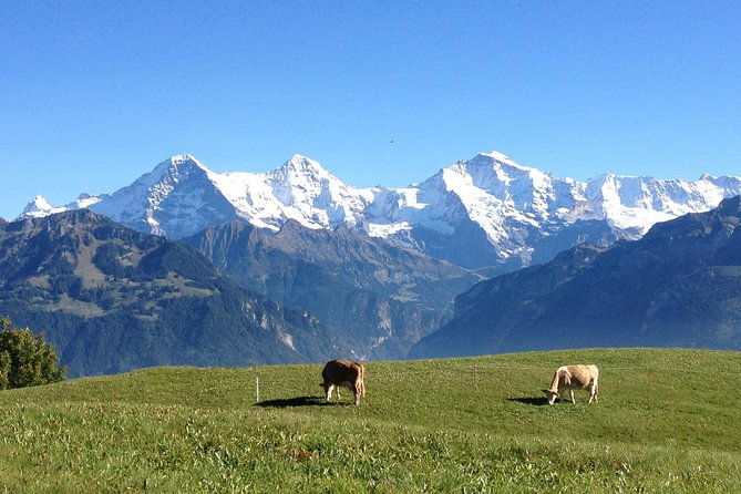 private-interlaken-and-jungfrau-region-tour-from-lucerne-or-berne