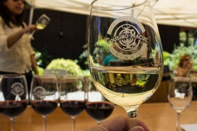 private-maipo-valley-de-luxe-wine-tour