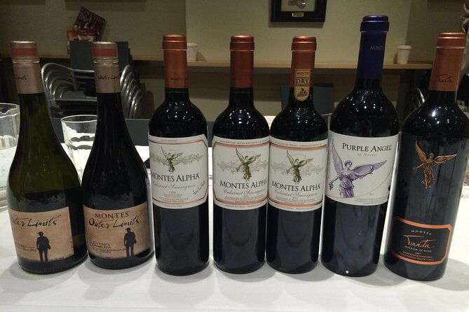 private-montes-winery-7th-world-best-wine-transfer-to-hotel
