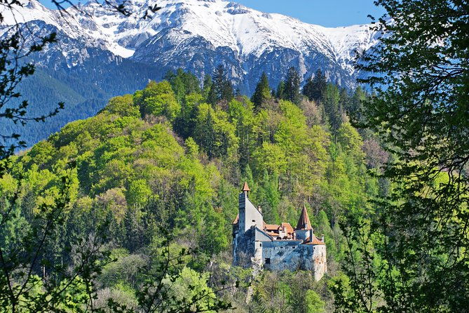 private-movie-castles-at-peles-cantacuzino-and-bran-castle-tour
