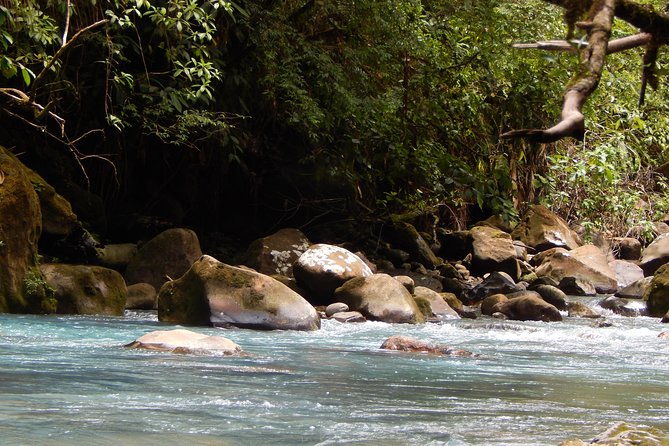 private-path-to-swimming-in-the-blue-water