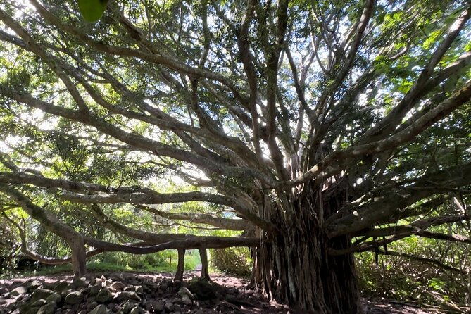 private-pipiwai-trail-maui-open-air-jeep-tour