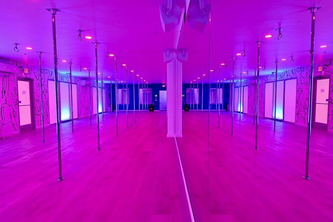 private-pole-dance-party-for-up-to-20-people-at-sofly-social-atx
