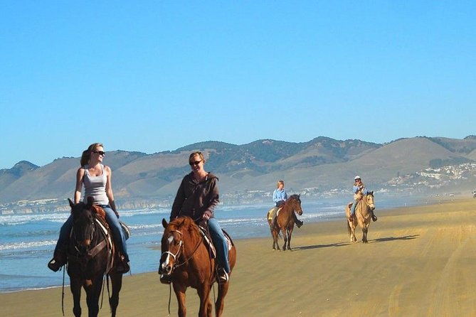 private-redwoods-tour-beach-horseback-riding-experience-from-san-francisco