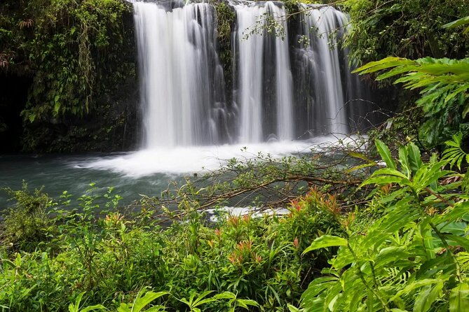 private-road-to-hana-rainforest-waterfall-experience-from-maui
