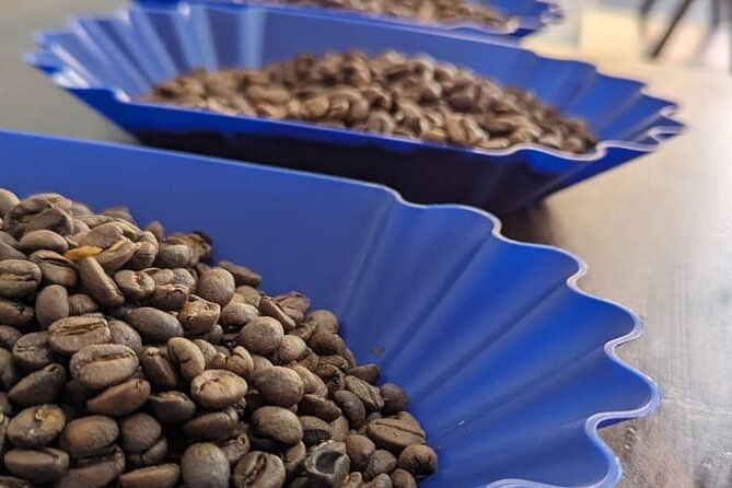 private-roasting-and-cupping-coffee-experience